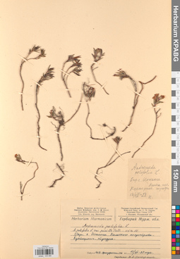 KPABG034488