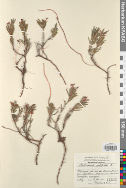 KPABG034504