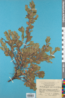 KPABG034609