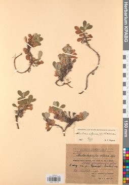 KPABG034736