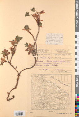 KPABG034738