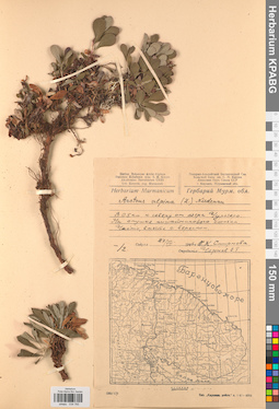 KPABG034765