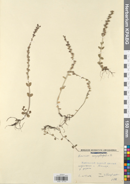 KPABG037023