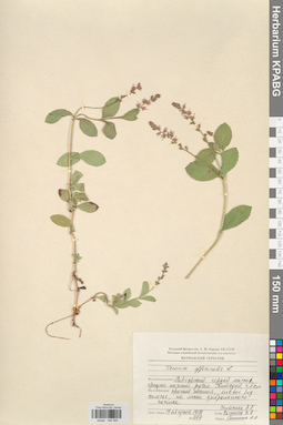 KPABG046460