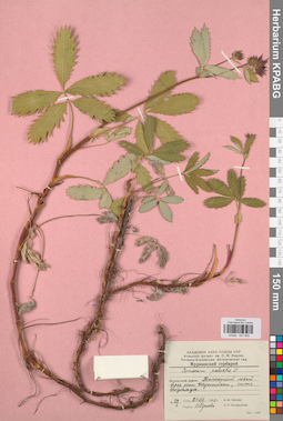KPABG027950