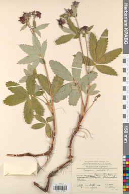 KPABG027968