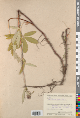 KPABG027971
