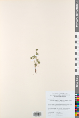 KPABG028067
