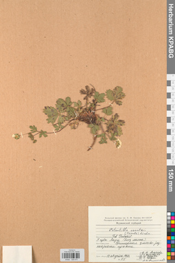 KPABG028070