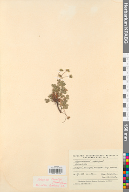 KPABG028075
