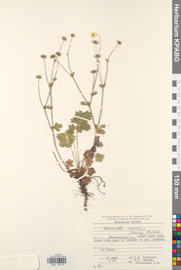 KPABG028079