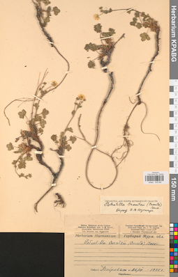 KPABG028082