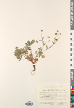 KPABG028093