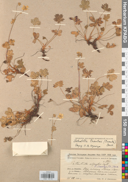 KPABG028105