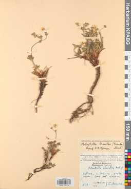 KPABG028108