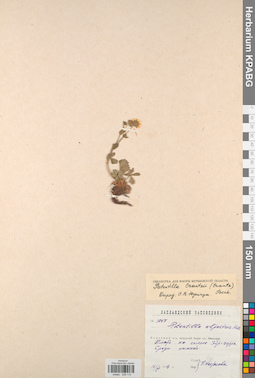 KPABG028113