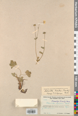 KPABG028126