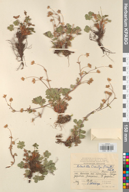 KPABG028135