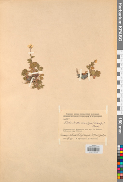 KPABG028142