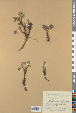 KPABG028149