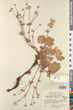 KPABG028151