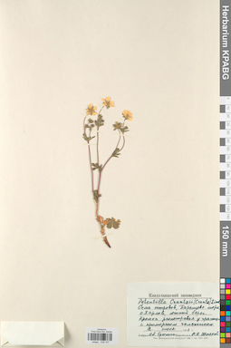 KPABG028157