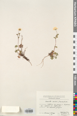 KPABG028165