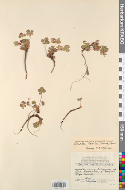 KPABG028169