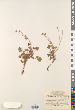 KPABG028175