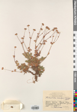 KPABG028179
