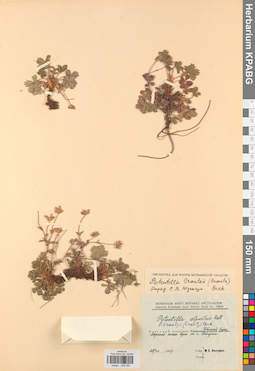 KPABG028183