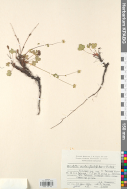 KPABG028192