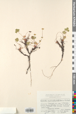 KPABG028193