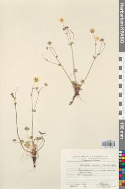 KPABG028196