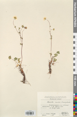 KPABG028197