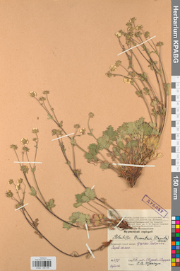 KPABG028198
