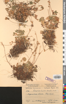 KPABG028201