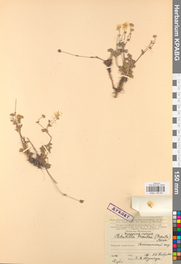 KPABG028203